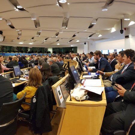 European Platform for Roma Inclusion